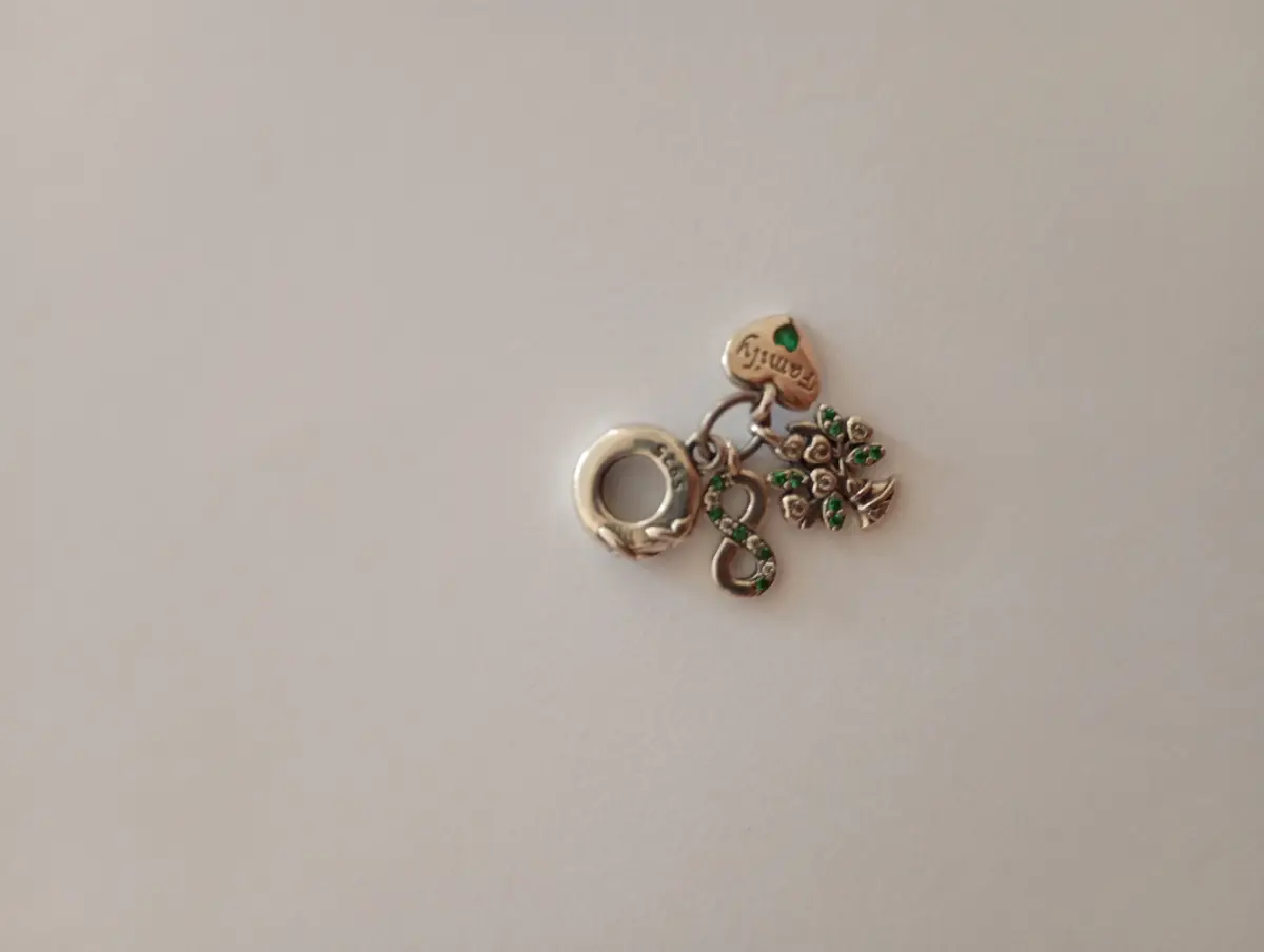925 silver charm dangle
