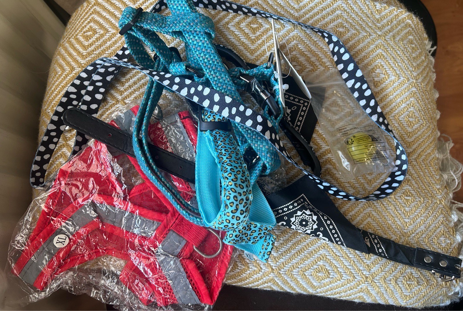Pet Bundle of Collars, Harness and Leads