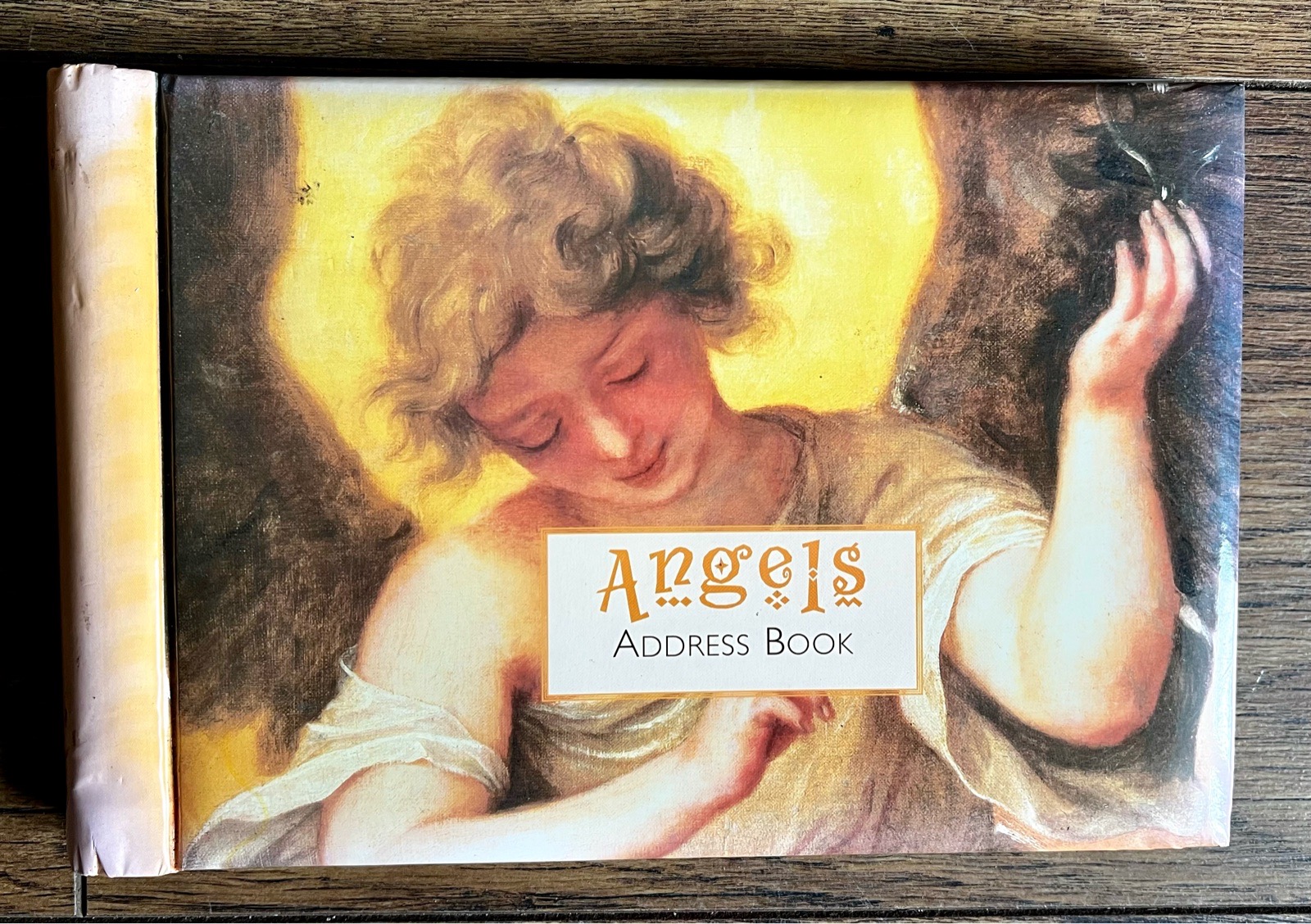 Angels Illustrated Address Book – Flutterbye Press Spiral Bound