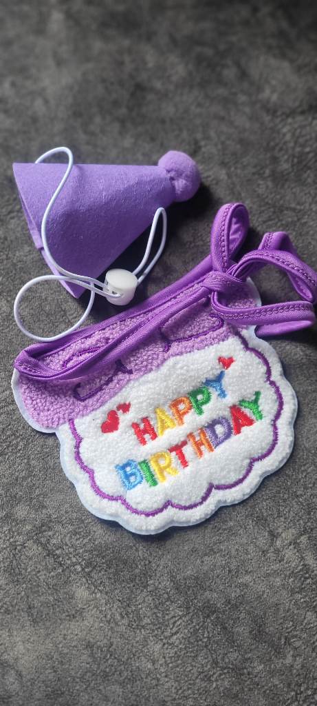 Cat birthday hat and bib