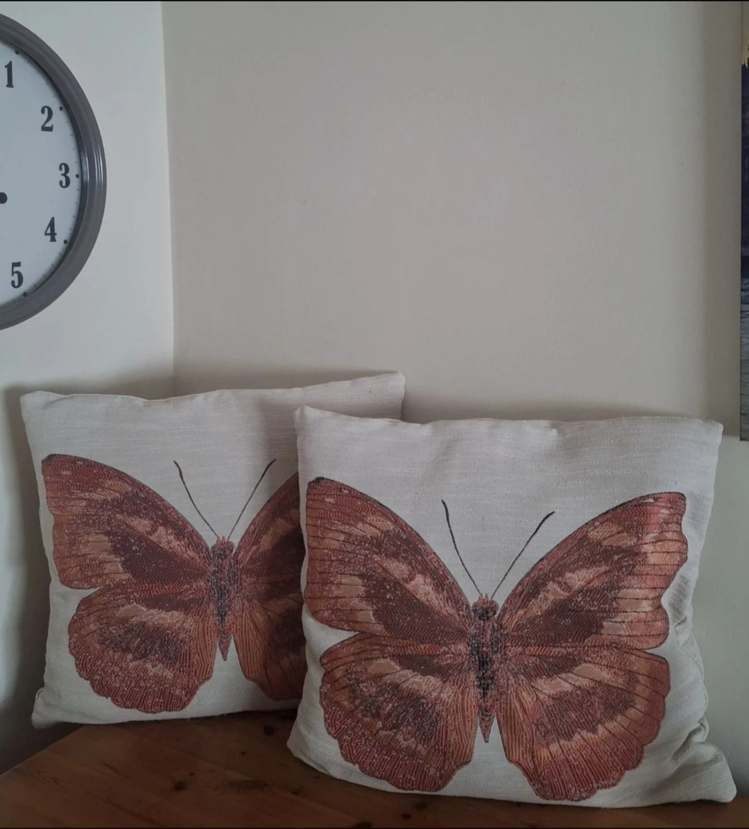 2 Decorative 40cm x 45cm Papillon Butterfly Double Sided Cushions