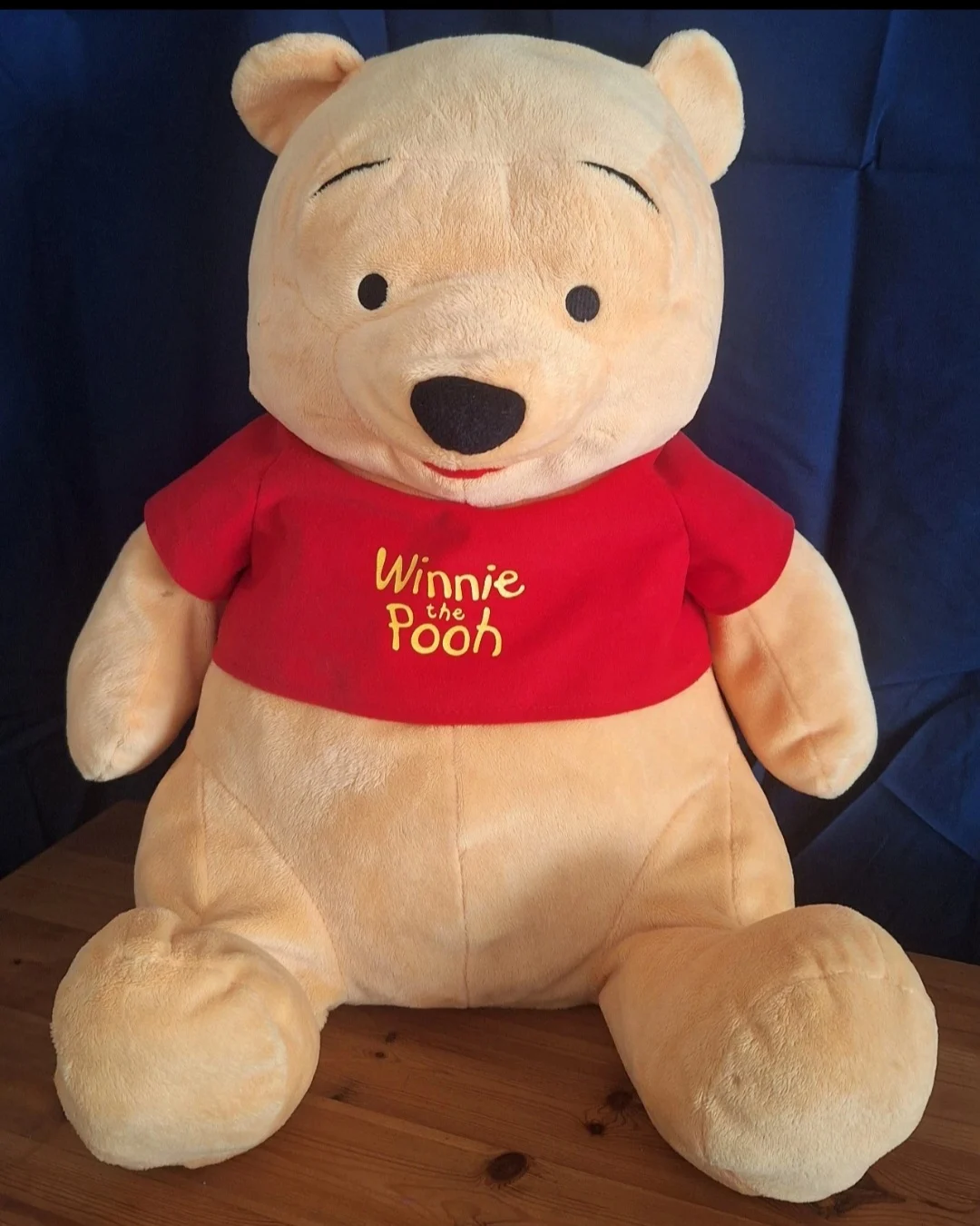 Official Disney 20" Winnie The Pooh Plush Cuddly Teddy Bear with T-Shirt