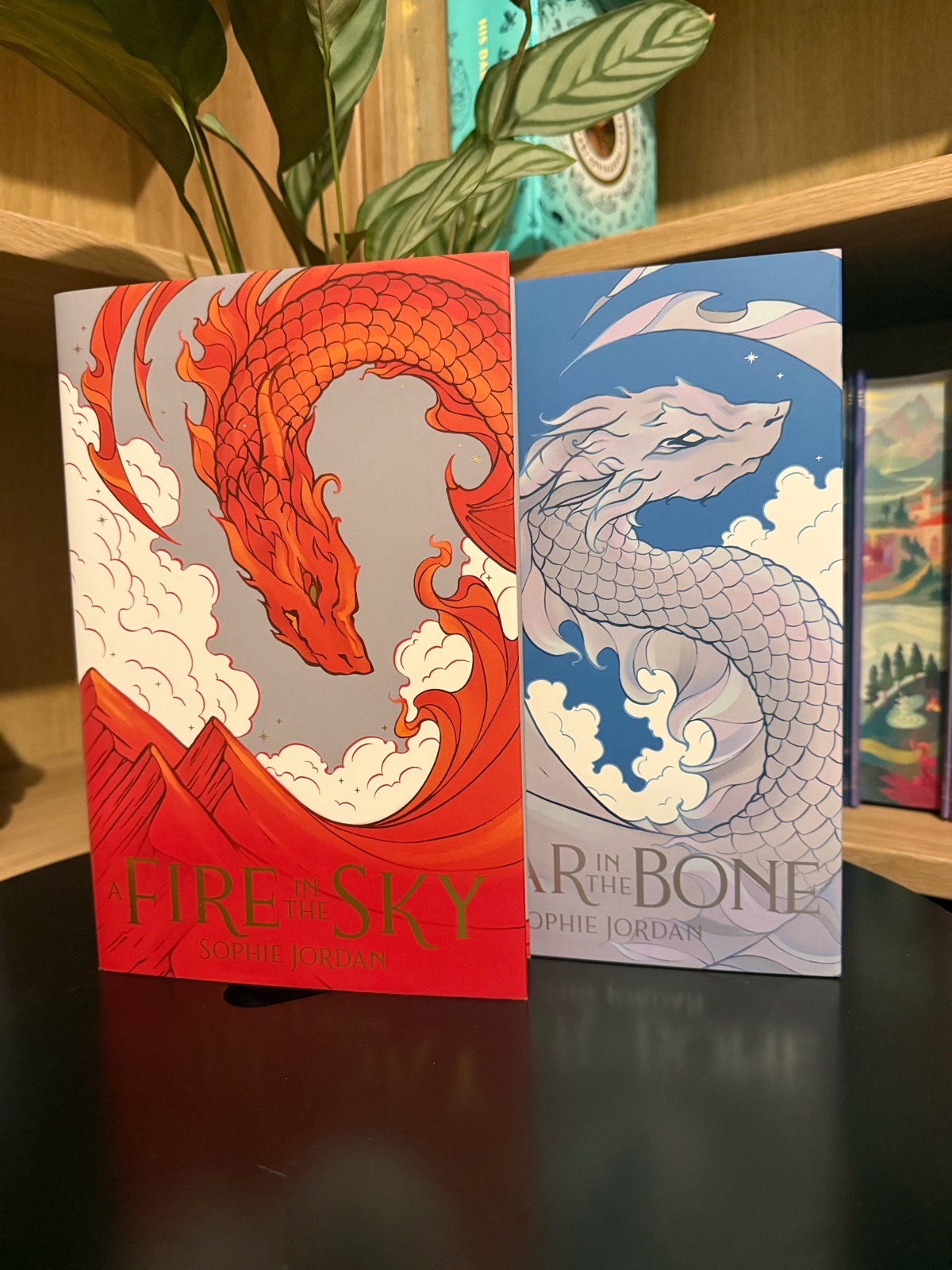 Fairyloot: A Fire in the Sky Duology by Sophie Jordan