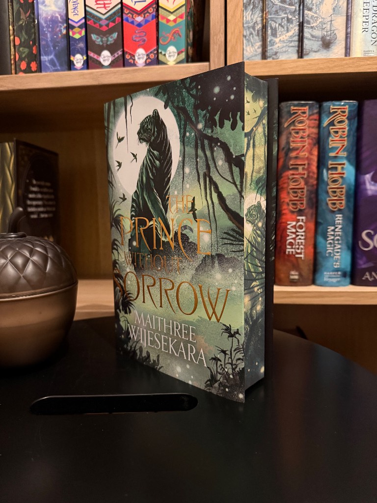 Illumicrate Exclusive Edition: The Prince Without Sorrow