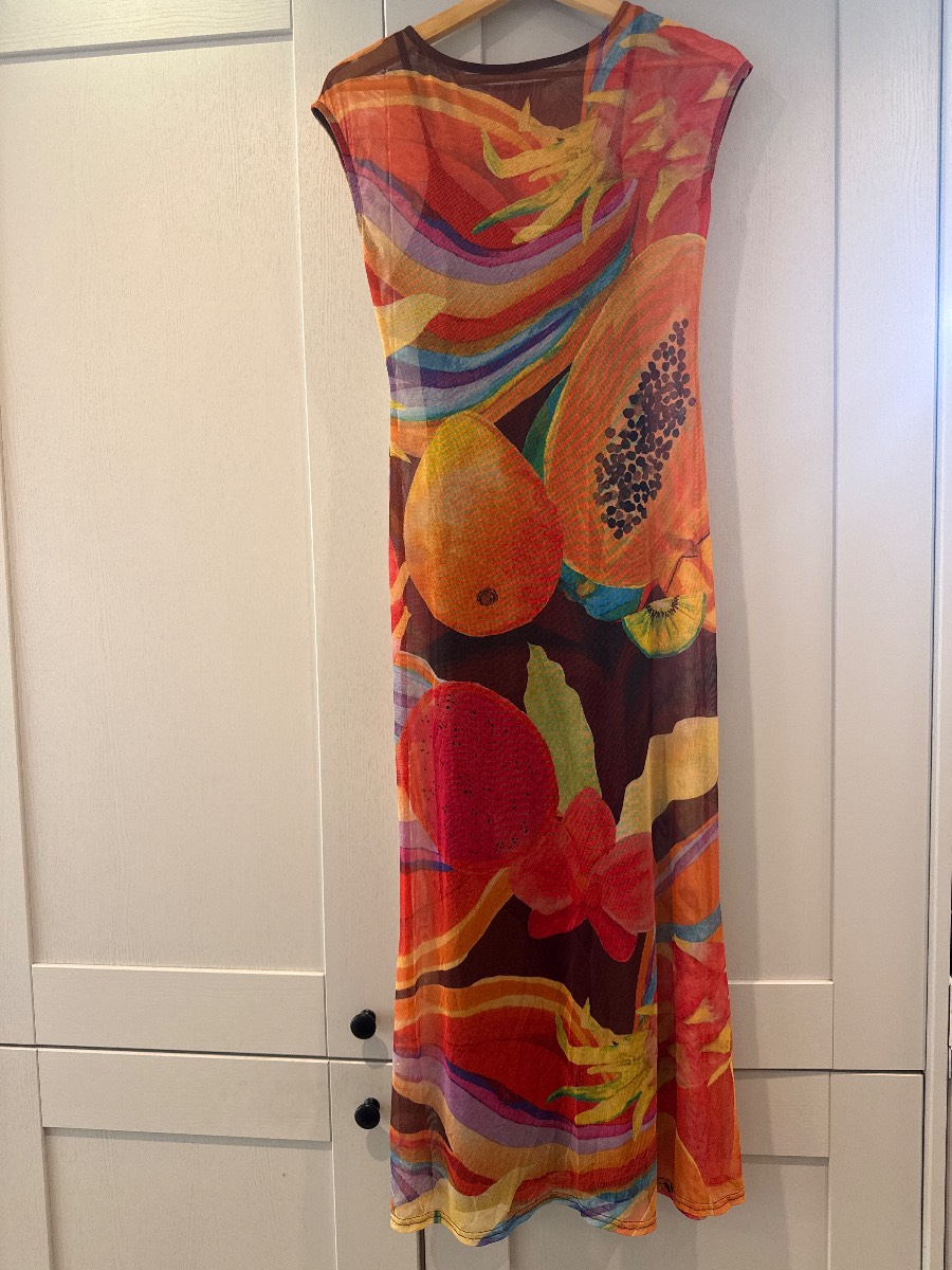 Never Fully Dressed Rio Mesh Long Dress