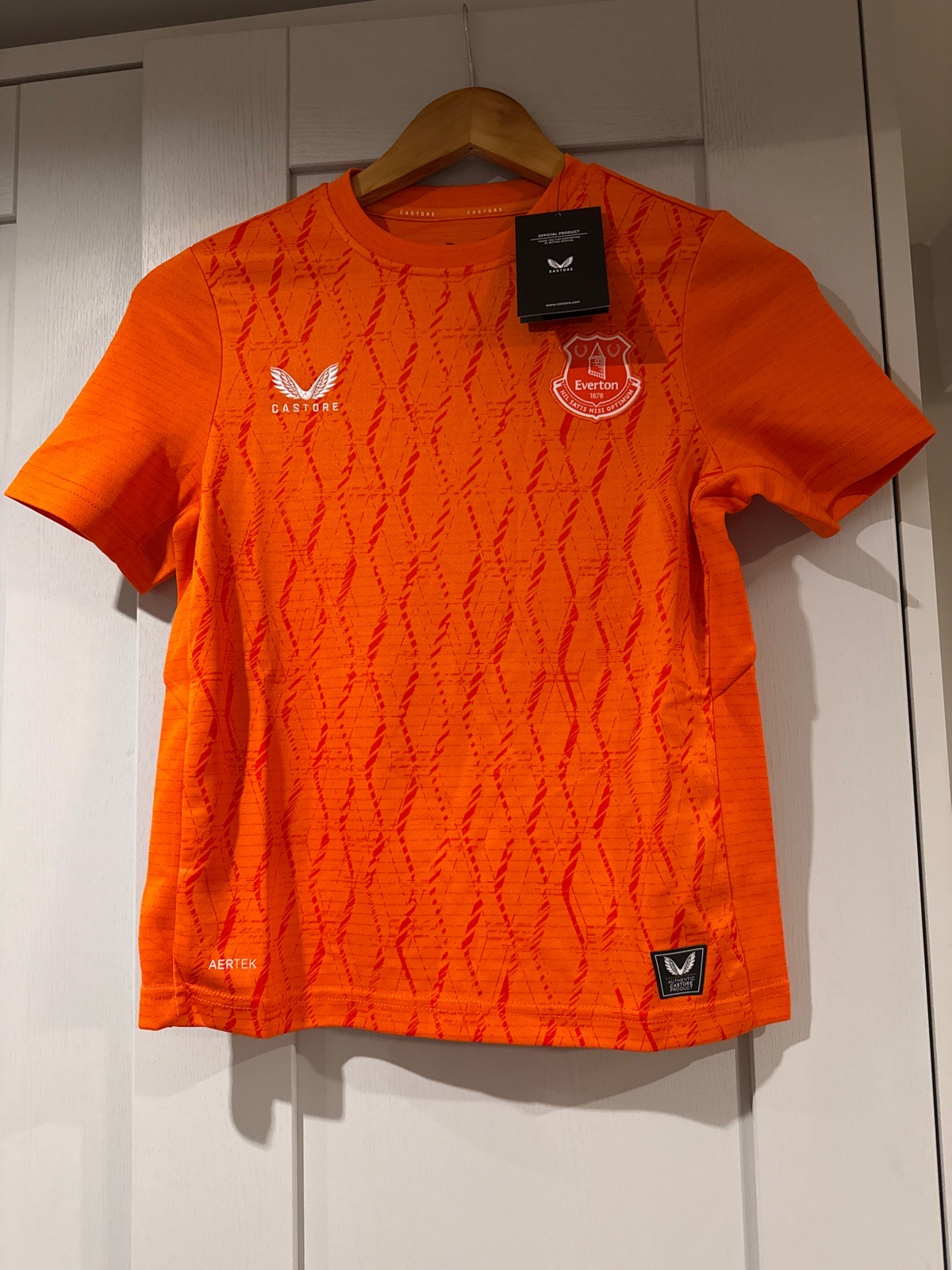 Everton Castore Third Goalkeeper Shirt 2025-26 - Kids