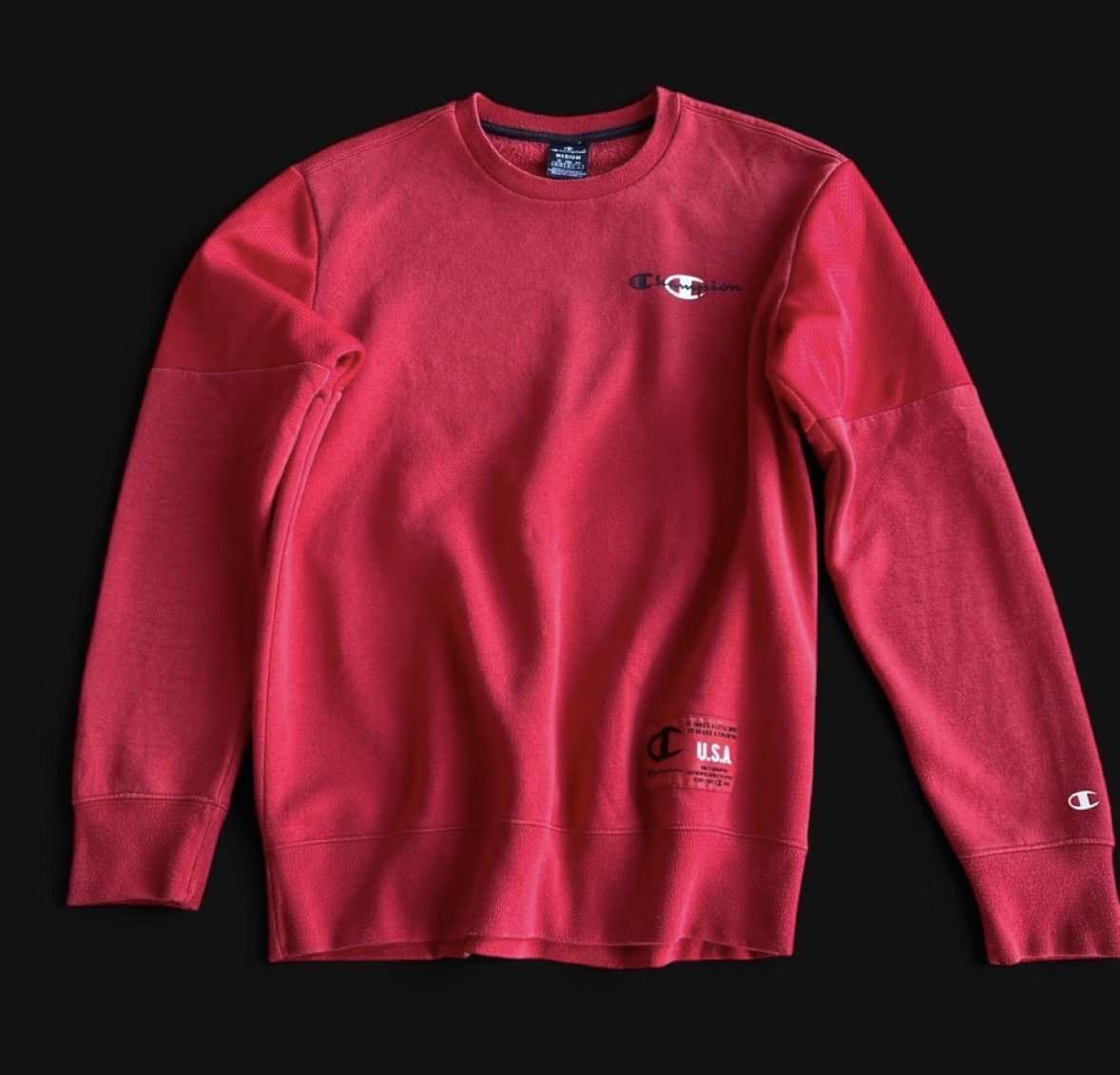 Champion USA sweatshirt. Size M, chest 44”. Good condition.