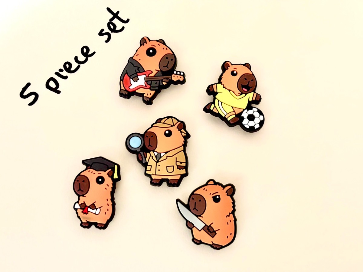 Capybara 5 piece set shoe charms for crocs. New. Cute.