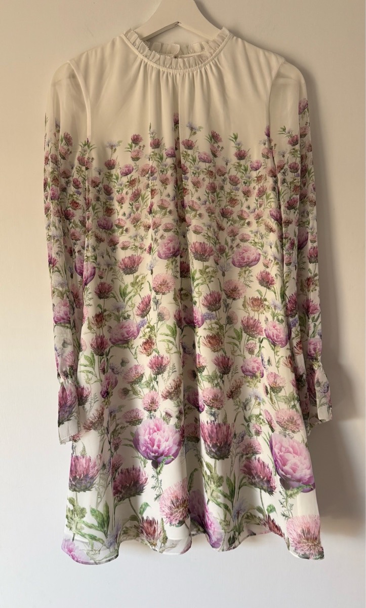 Ted Baker Deasil Floral Thistle Cottagecore Mini Dress UK 8 Size 1