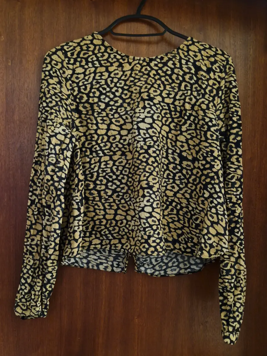 Zara Animal print top