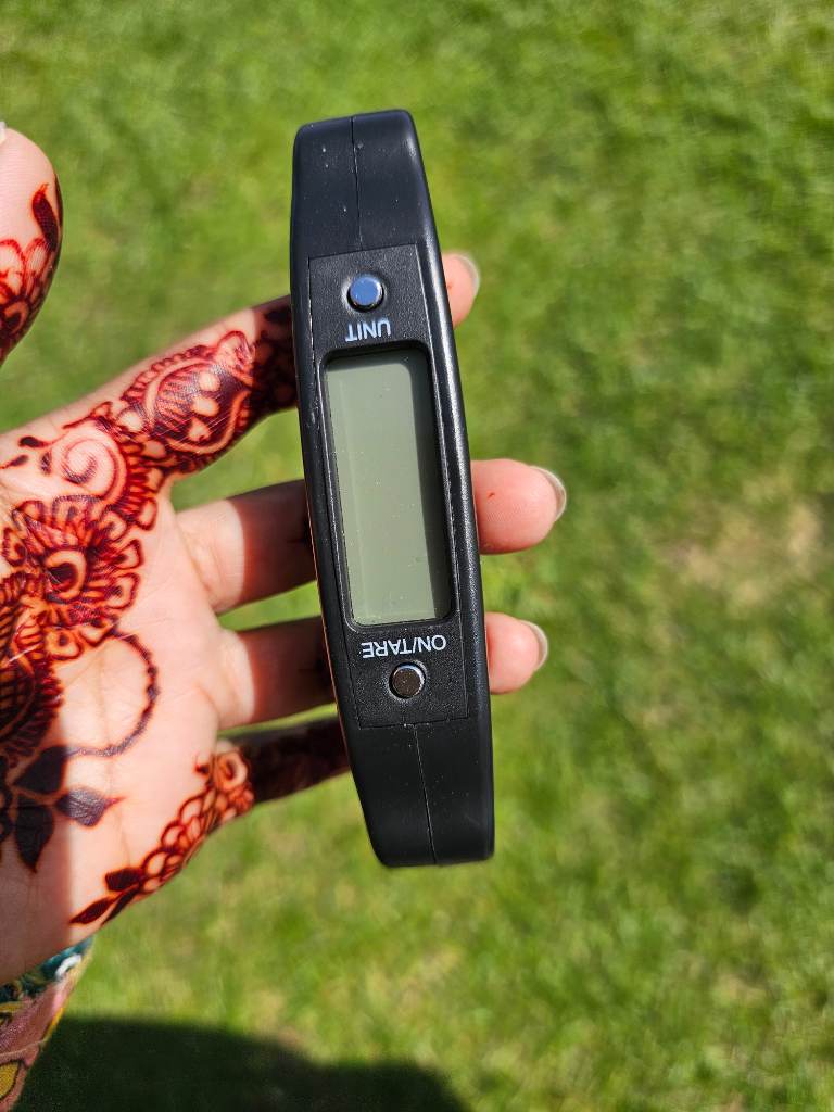 Electronic luggage scale