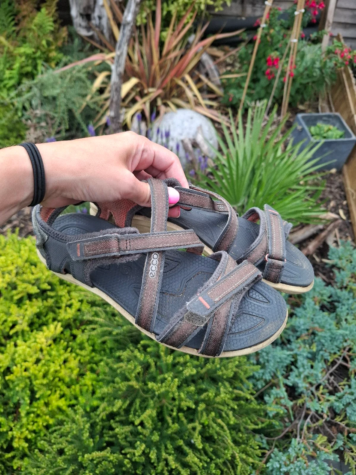ECCO cruise baja women's outdoor trekking sandals walking