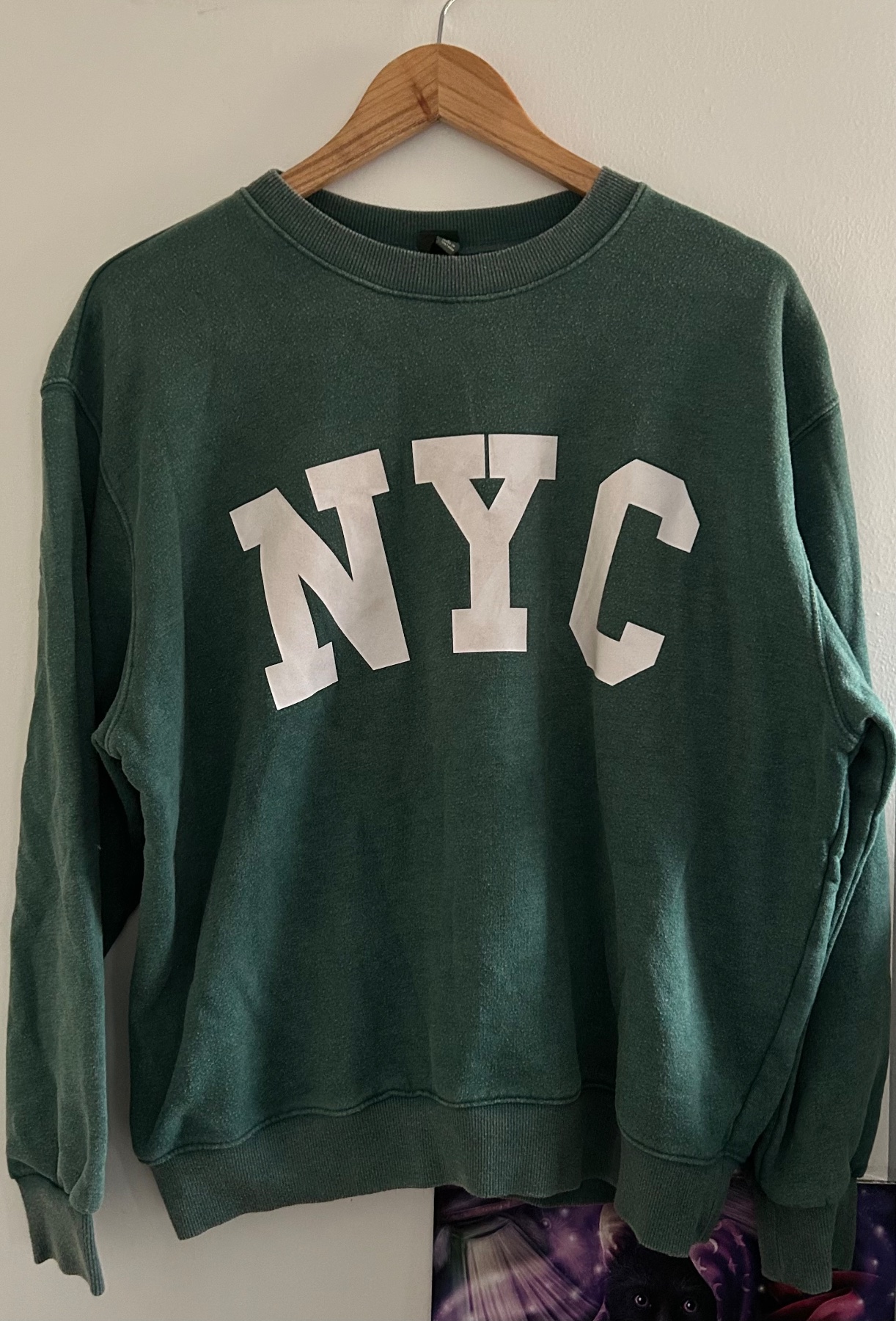 Wild Fable oversized forest green NYC sweatshirt