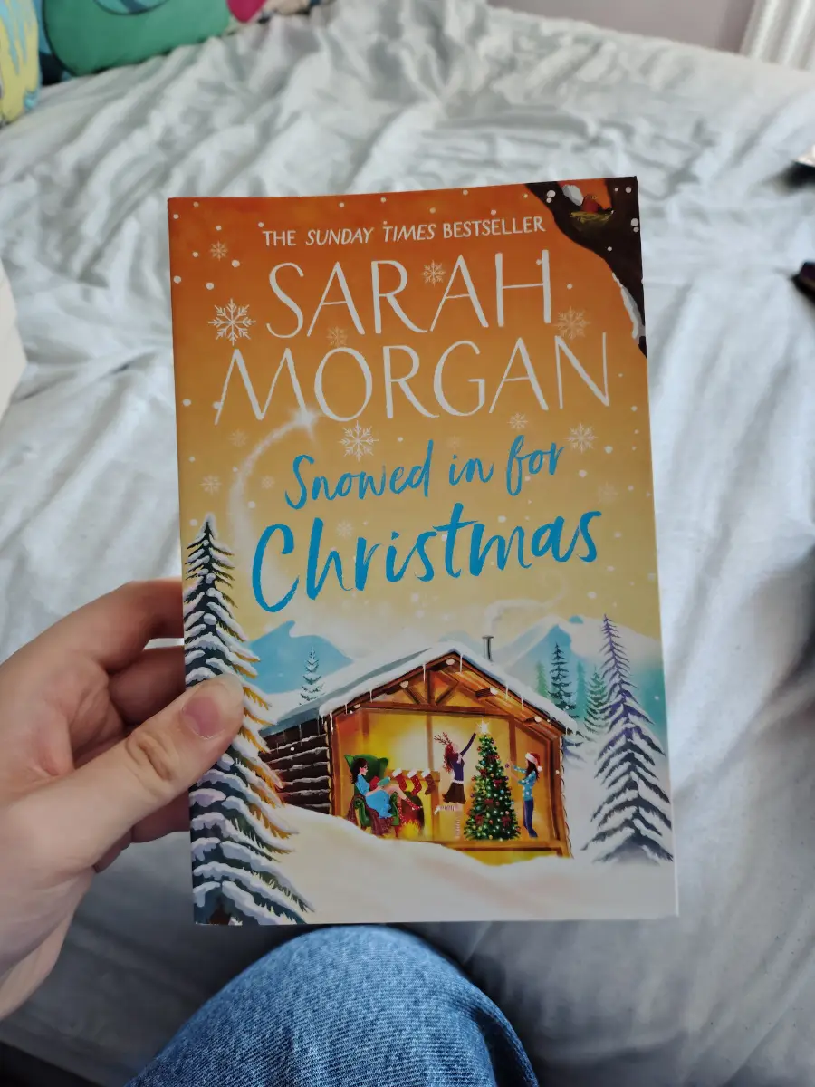 Snowed In For Christmas