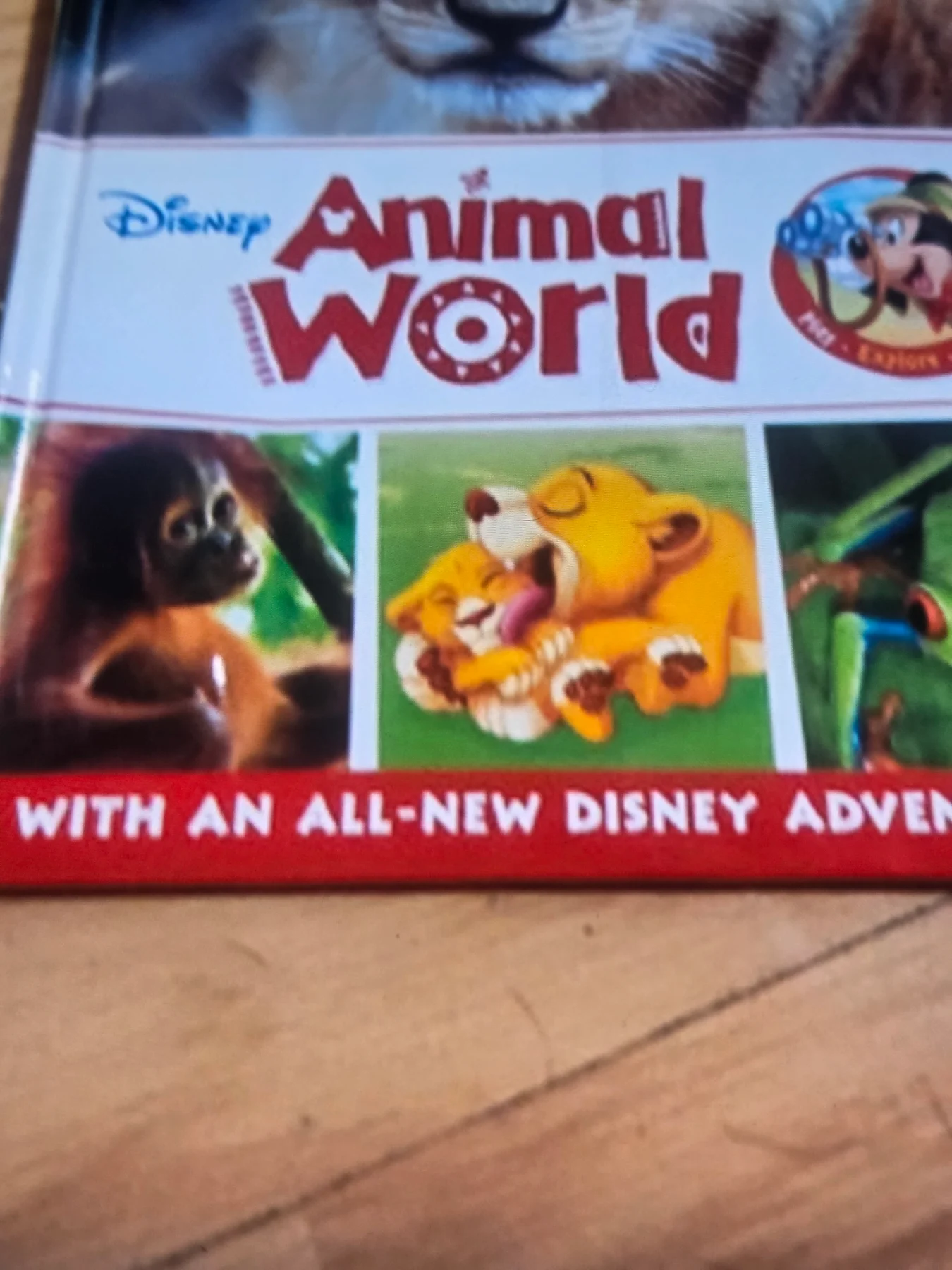 Animal world book
