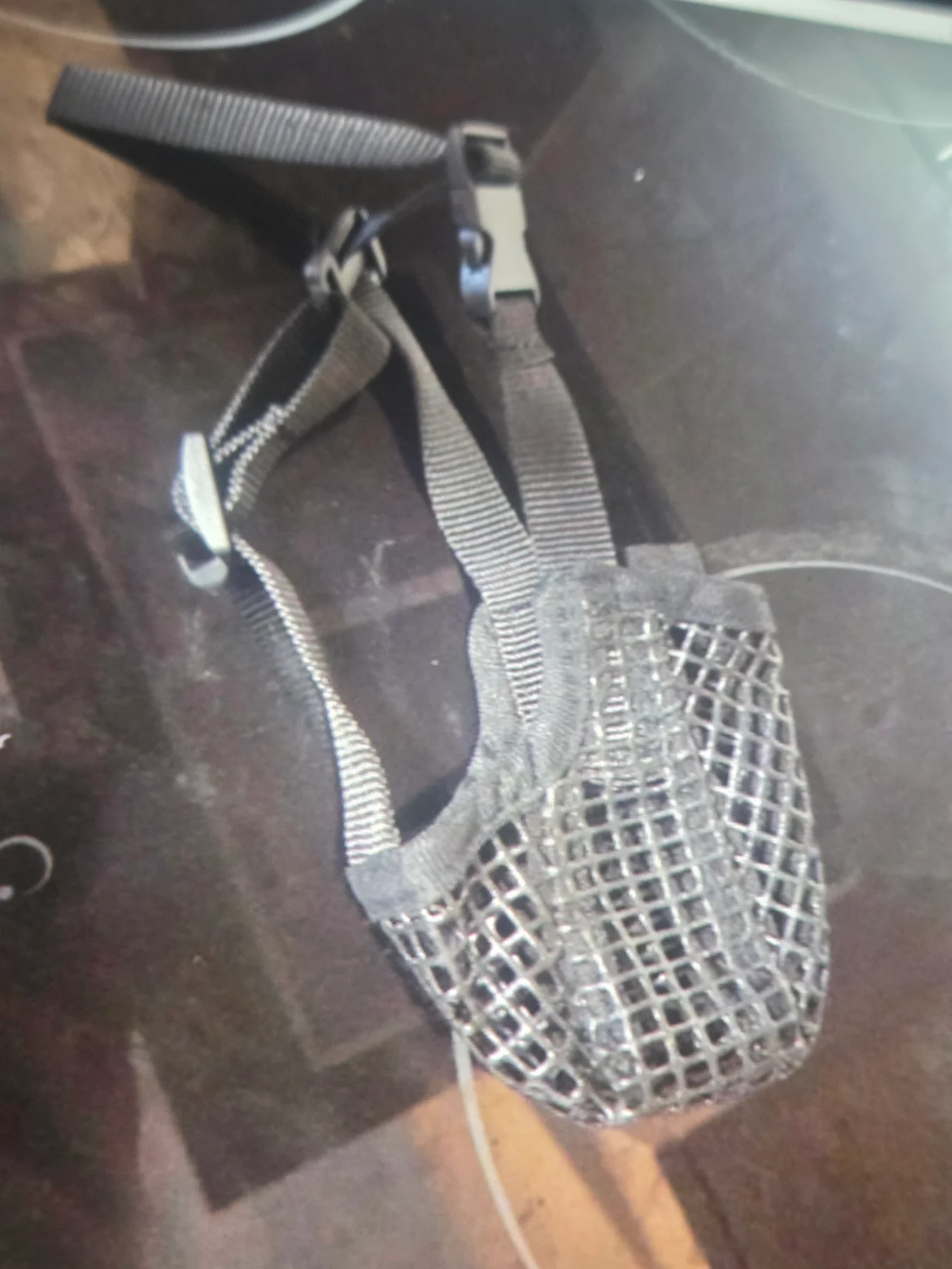 Xs muzzle for dogs