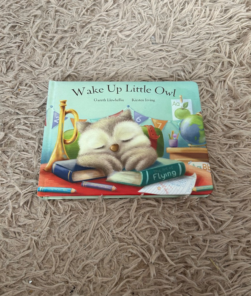 Wake up little owl jellycat book
