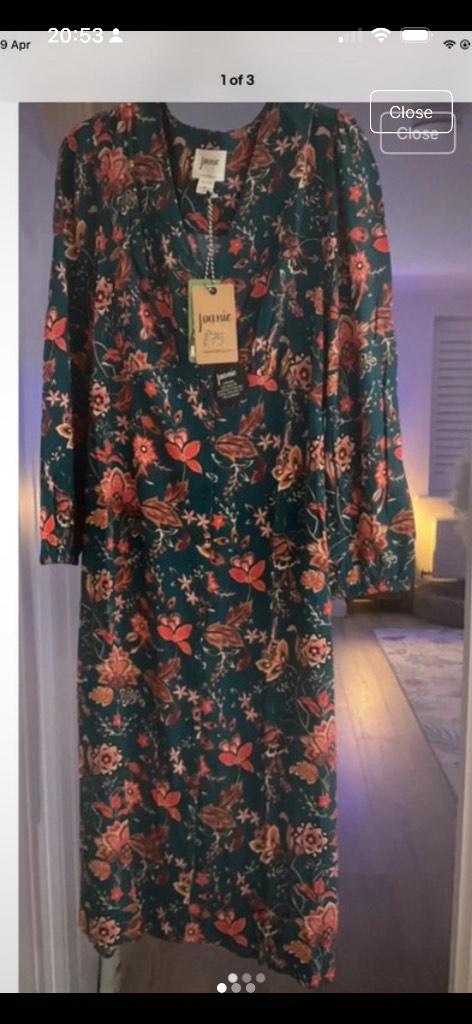 A gorgeous Joanie Sandra Jacobean Floral Print Dress