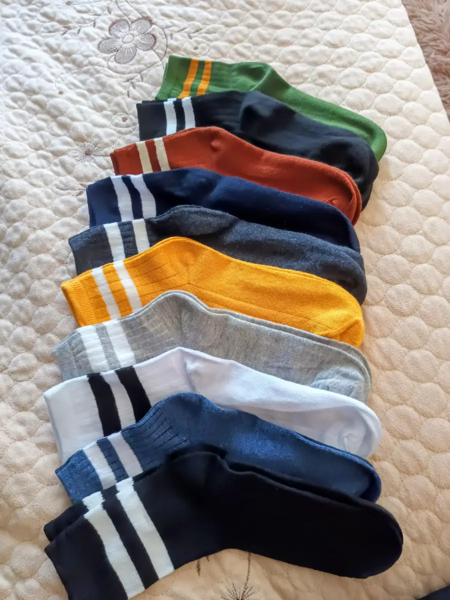 10 pairs socks