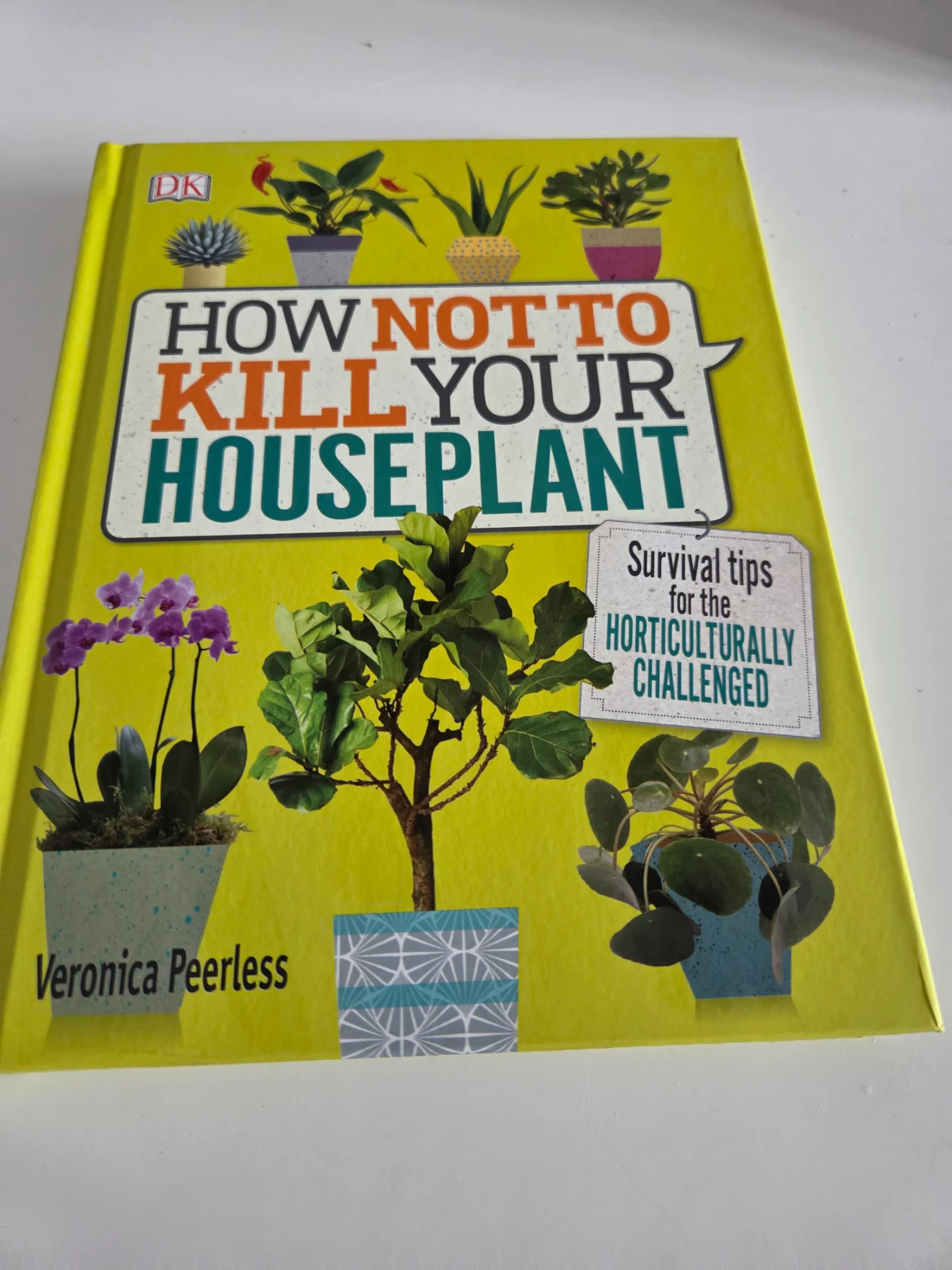 How to NOT kill your houseplants