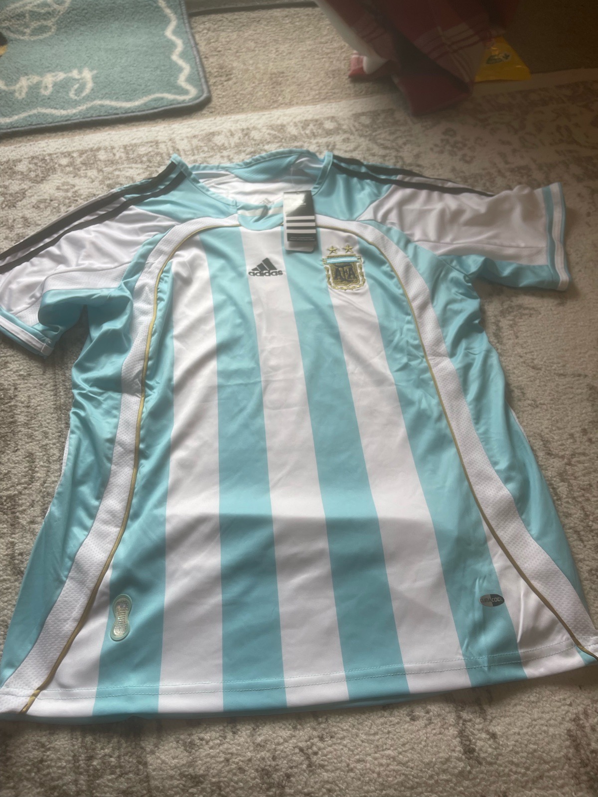 Argentina 2006 home top