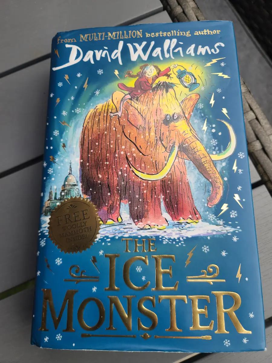 Hardback Book