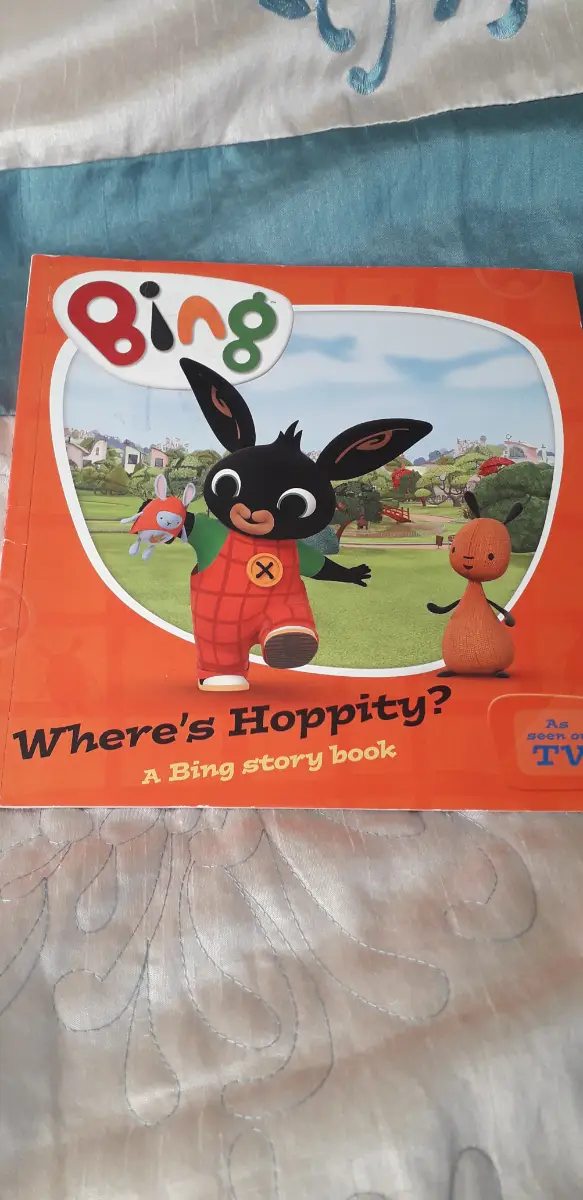 Bing A childrens Book