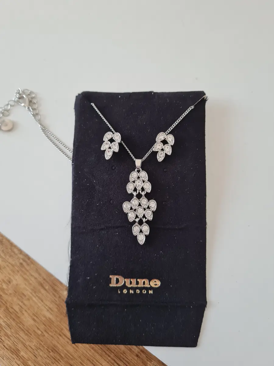 Dune London Necklace Earrings Set