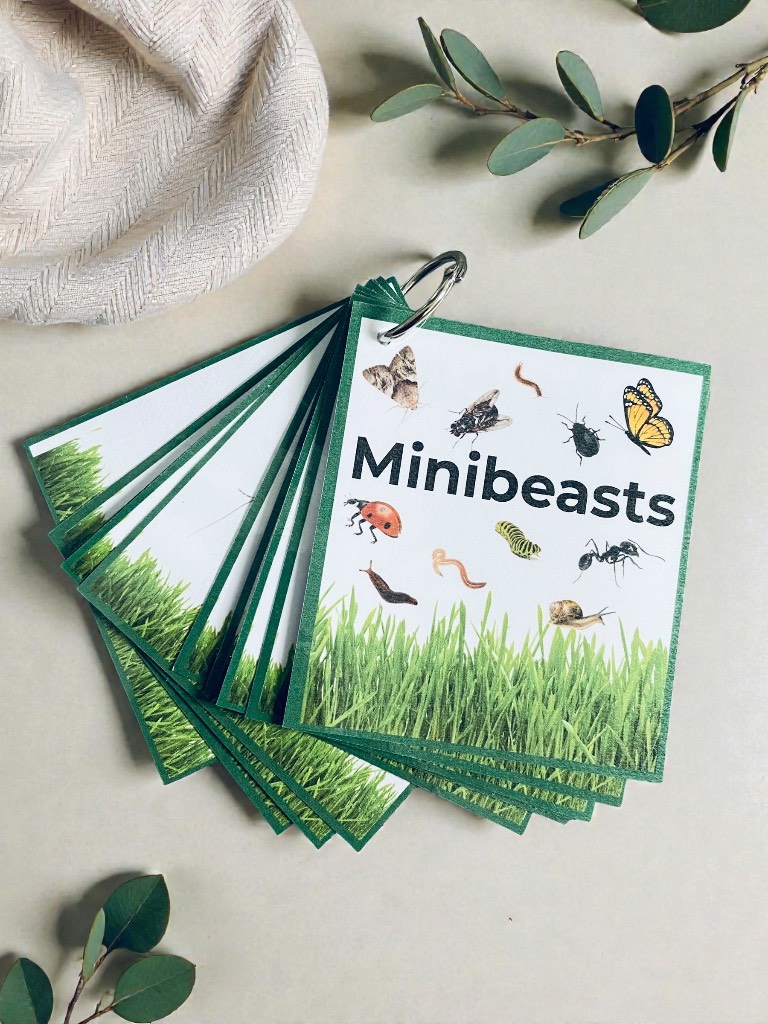 Mini Beasts Flashcards Book Early Years Pre School Children Education Flash Cards.