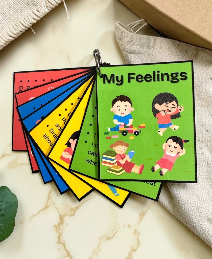 Zones of Regulation Flash Cards asn sen Self-Regulation Emotional control.