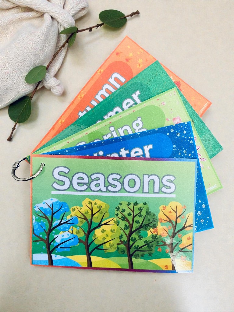 Seasons Flashcards Book Early Years Pre School Children Education Flash Cards Homeschool EYFS.