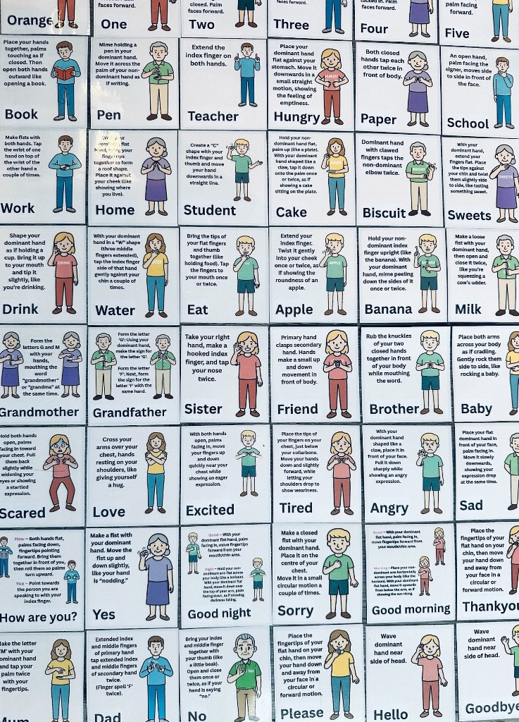 UK Sign Language, Everyday Sign Language Flashcards Adult Child ASN Non Verbal Flash Cards.