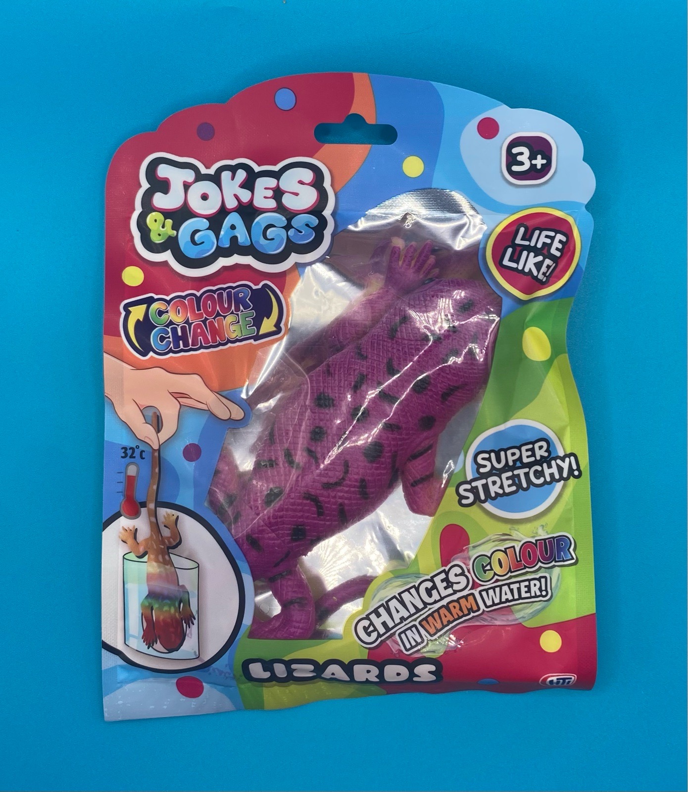 Colour Change Lizard - Purple