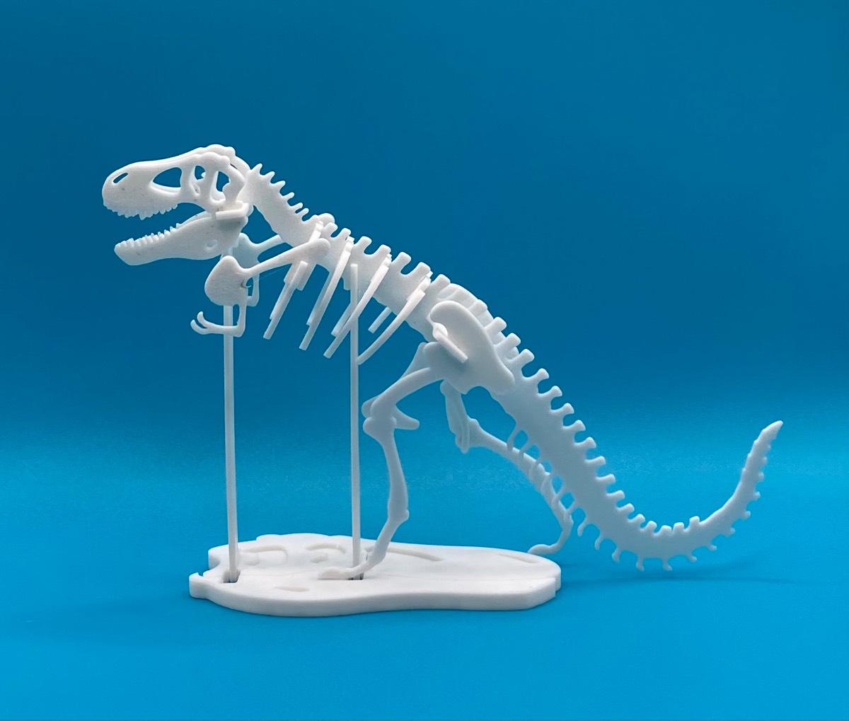 3D Printed Build Your Own Dinosaur Skeleton Model