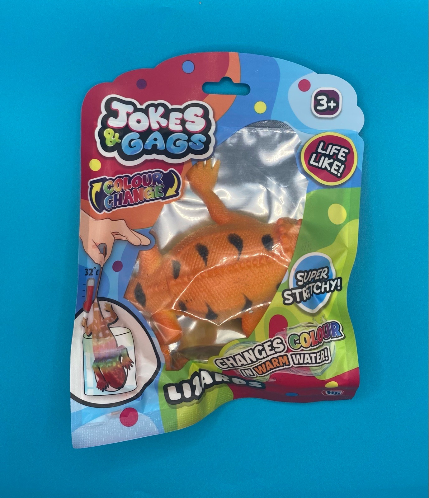 Colour Change Lizard - Orange