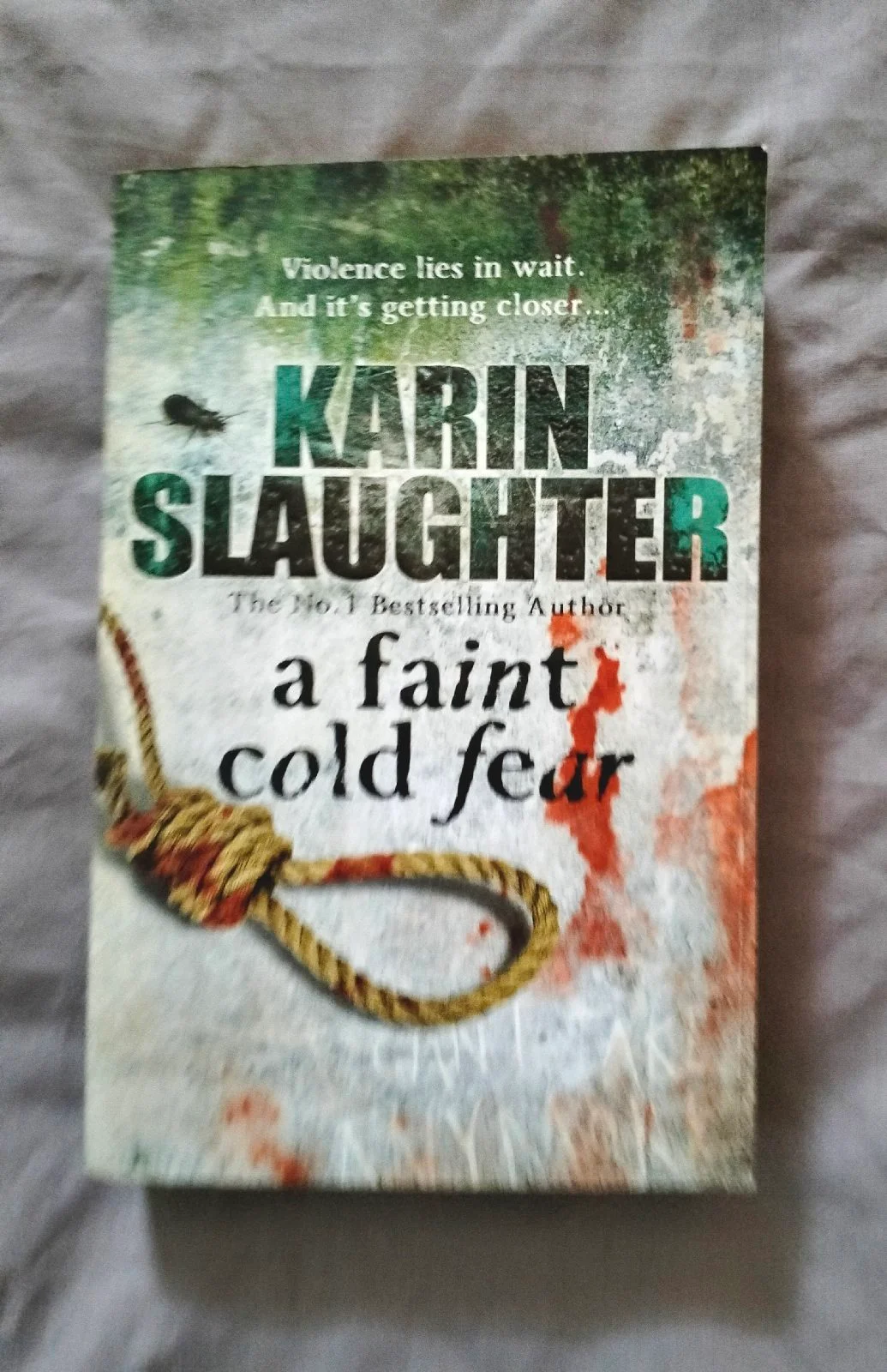 A Faint Cold Fear paperback by Karin Slaughter Very Good Condition