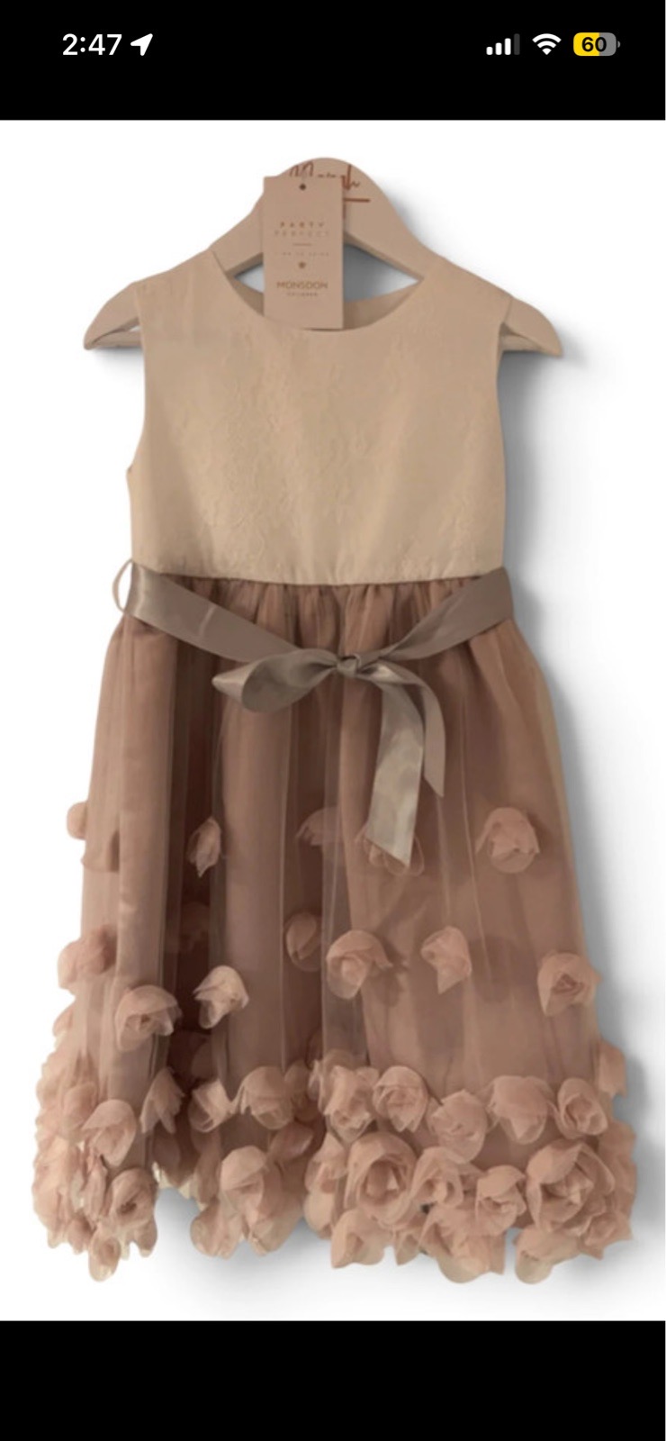Monsoon dress