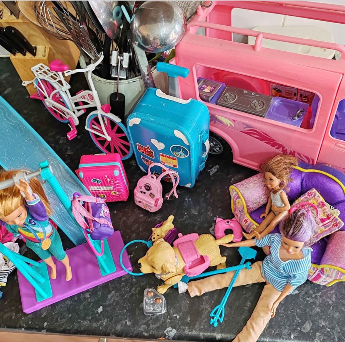BIG Barbie bundle, dolls, Dogs, Dream camper van, clothes, Bike and accessories