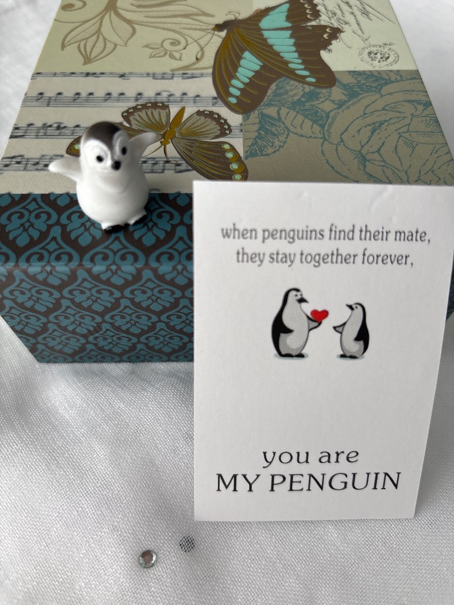 You are my Penguin 🐧 pocket hug