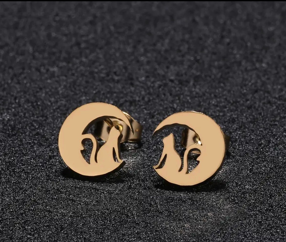 Cute Cat on the Moon Earrings