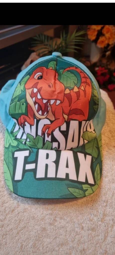 Kids dinosaur cap new