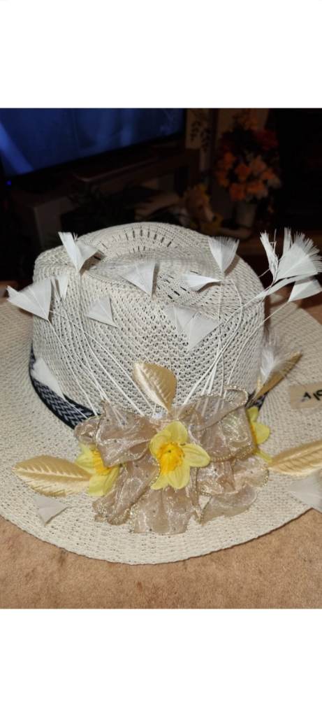 Ladies hats feathers