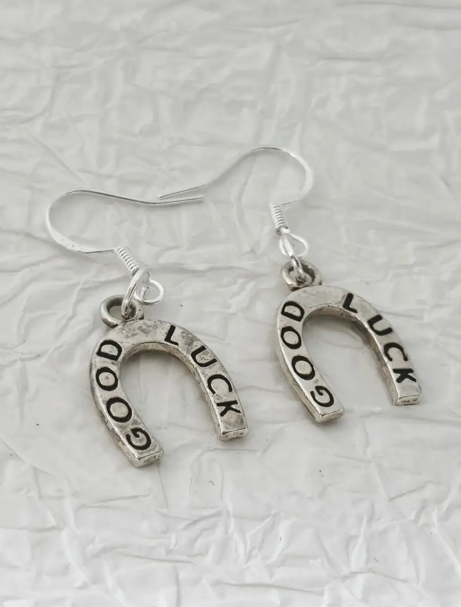 Silver 925 earhooks Good Luck Horseshoe drop earrings