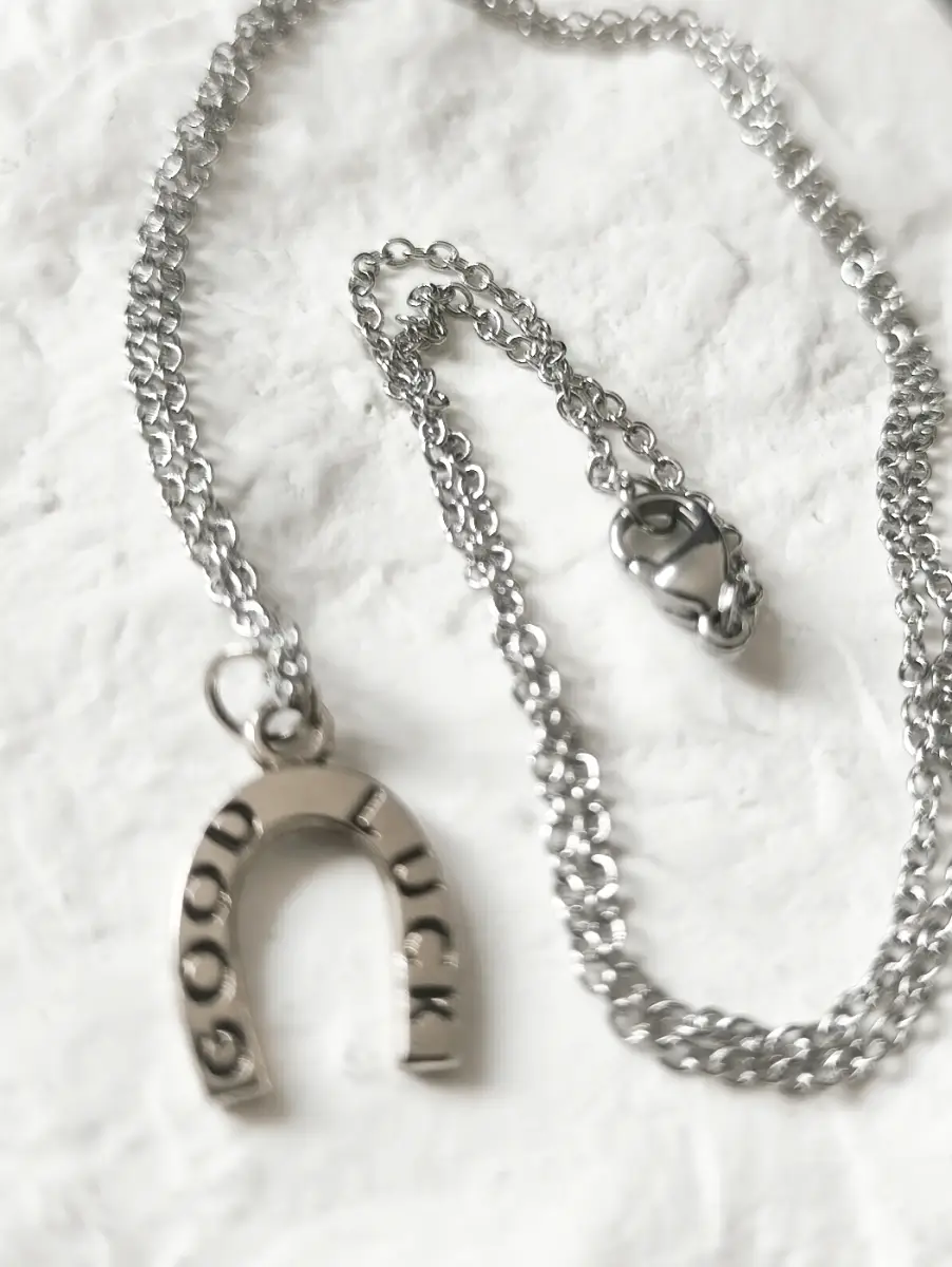 Good Luck Horseshoe pendant & Chain