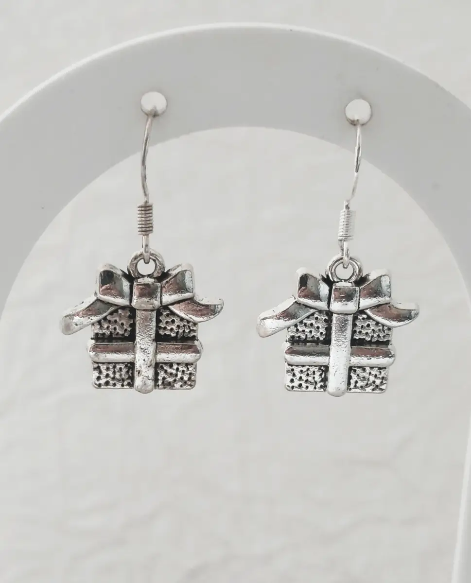 Silver 925 earhooks Gift Box Present drop earrings