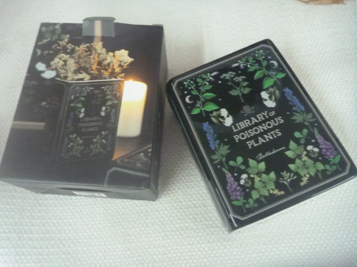 Black Library Book of Plants Ceramic Flower Vase Book Shaped