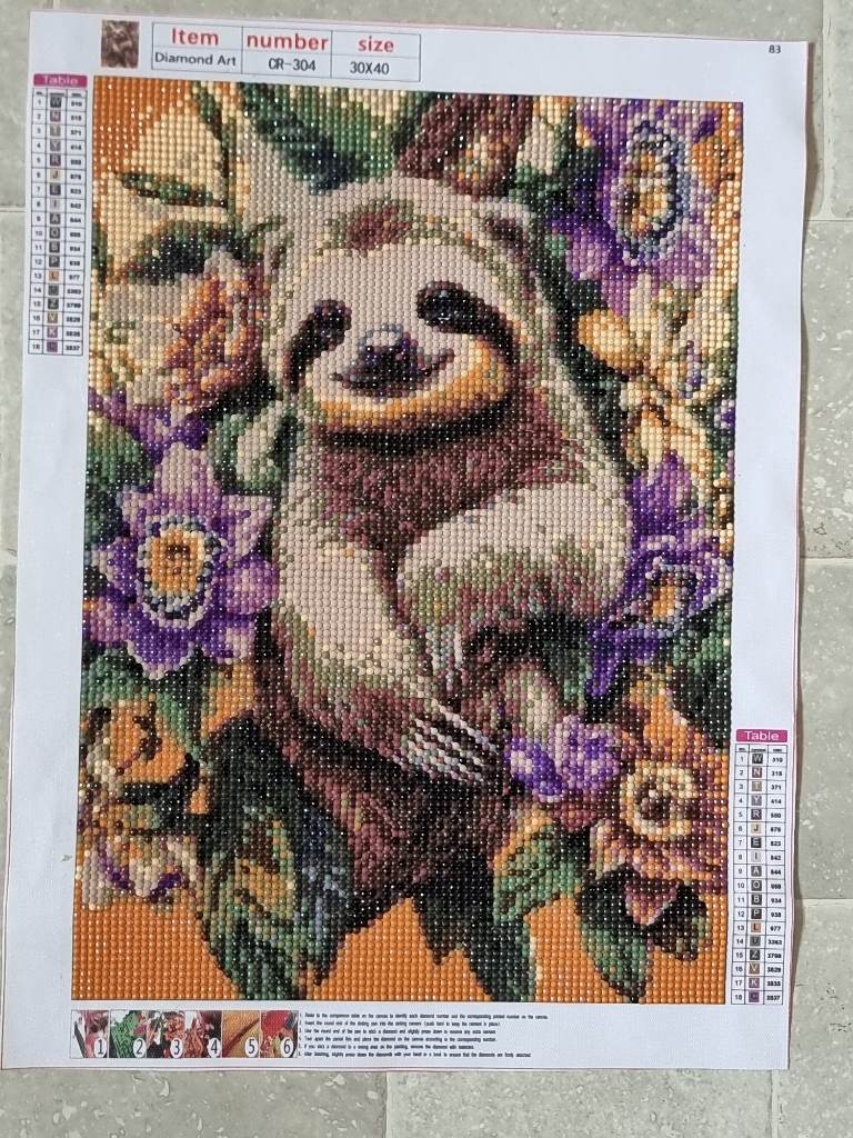 Sloth picture gift