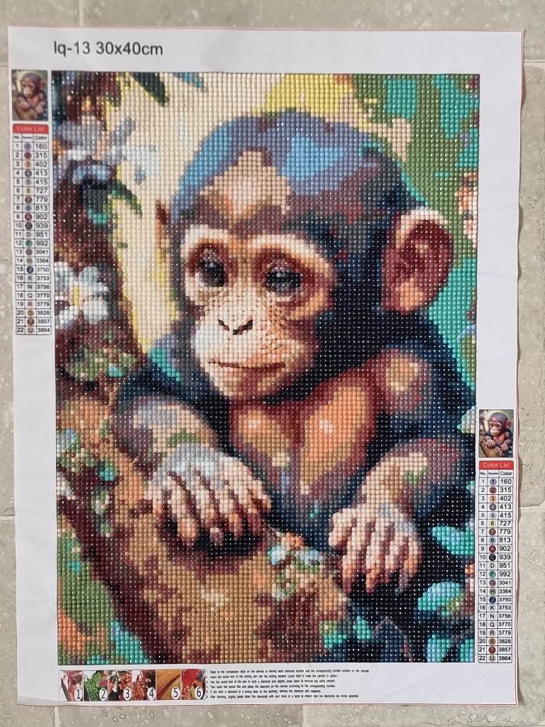 M9nkey/chimpanzee diamond painting gift