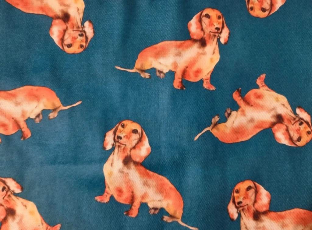 Dachshund scarf.