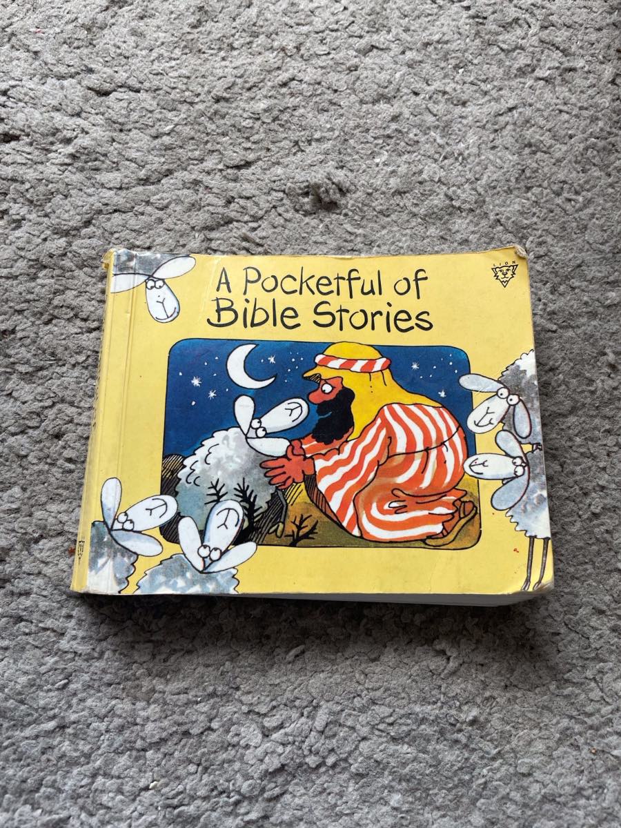A pocketful of bible stories book